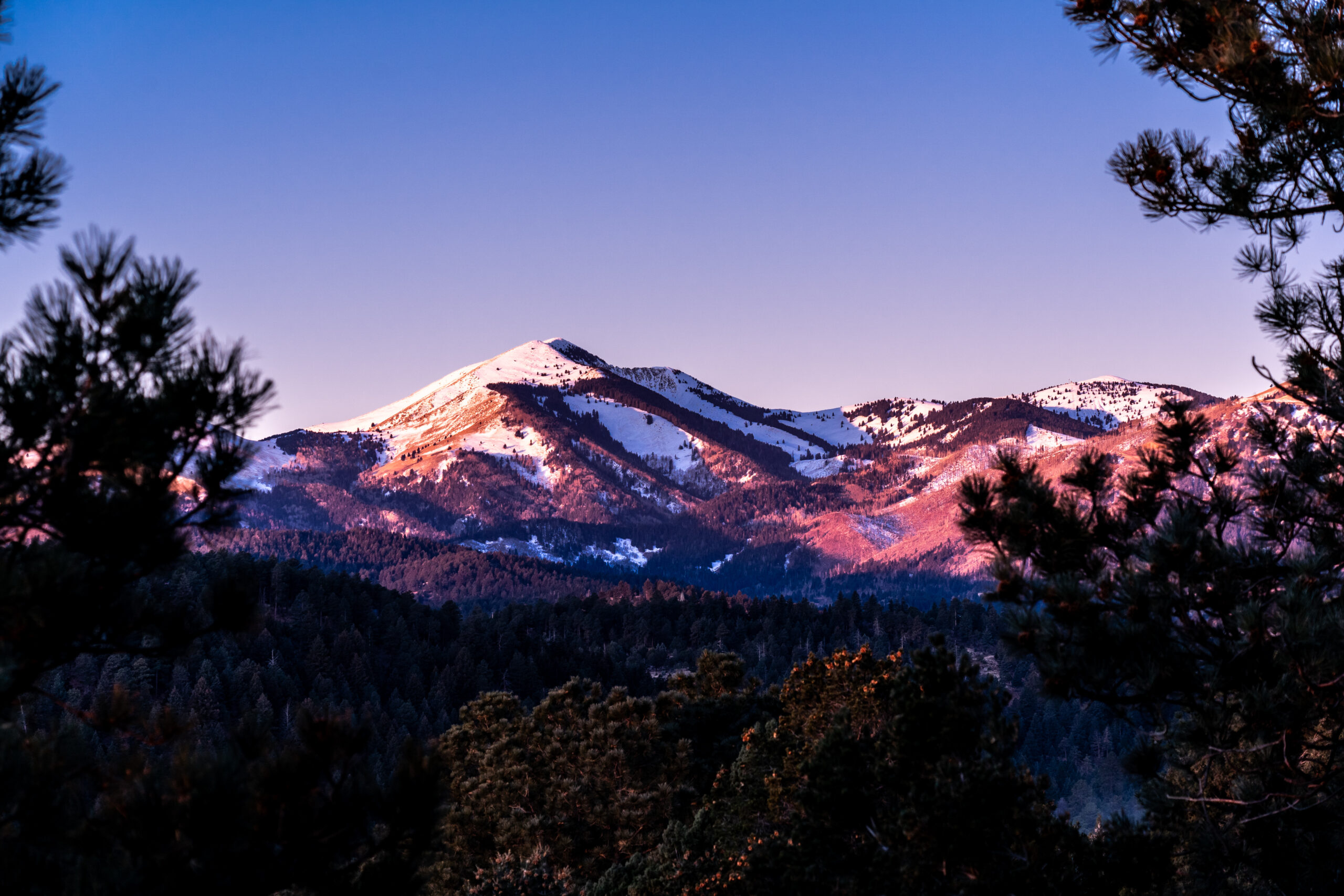 Sierra Blanca Peak at dawn