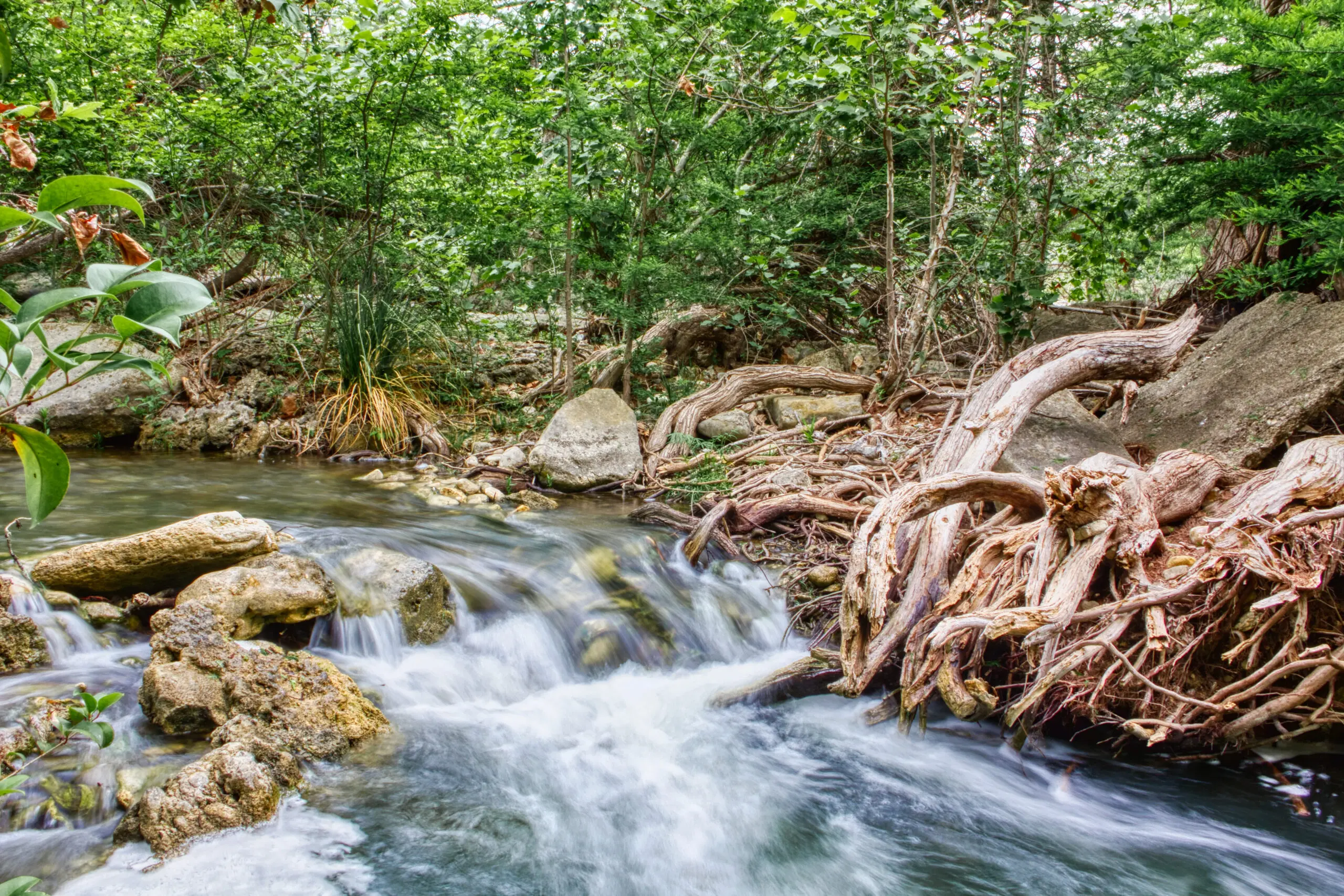 Guadalupe River long exposure