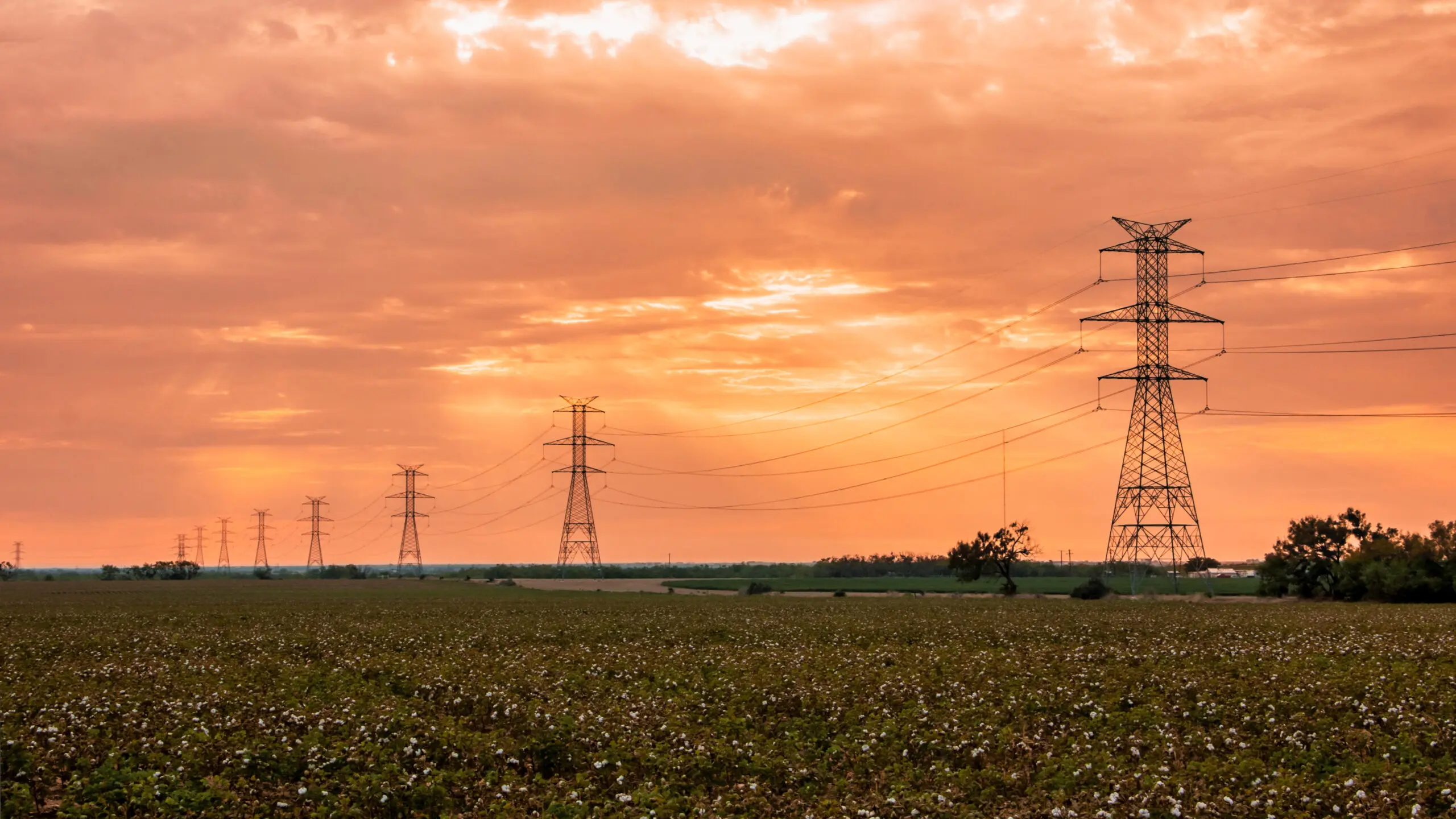 Texas Transmission Lines at Sunrise